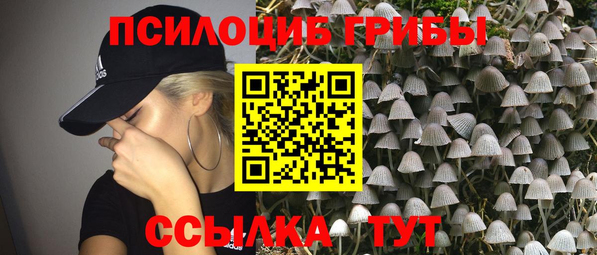 Псилоцибиновые грибы прущие грибы Щёлково